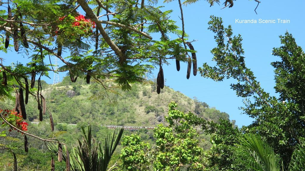 فندق Caravonicaفي  Lake Placid Tourist Park المظهر الخارجي الصورة