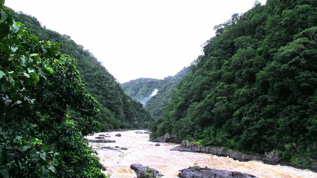 فندق Caravonicaفي  Lake Placid Tourist Park المظهر الخارجي الصورة